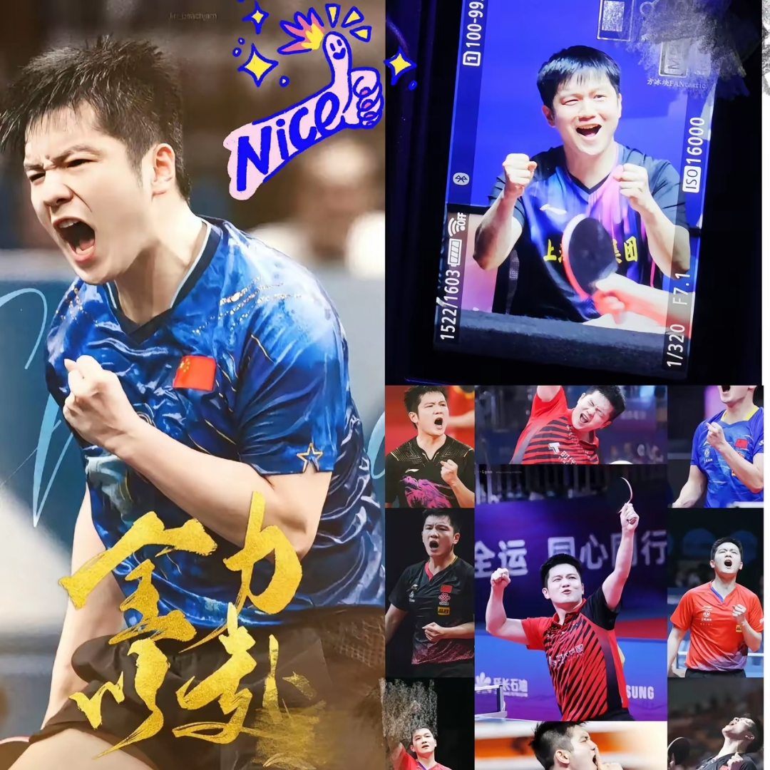 德国队横扫葡萄牙队，樊振东高光表现