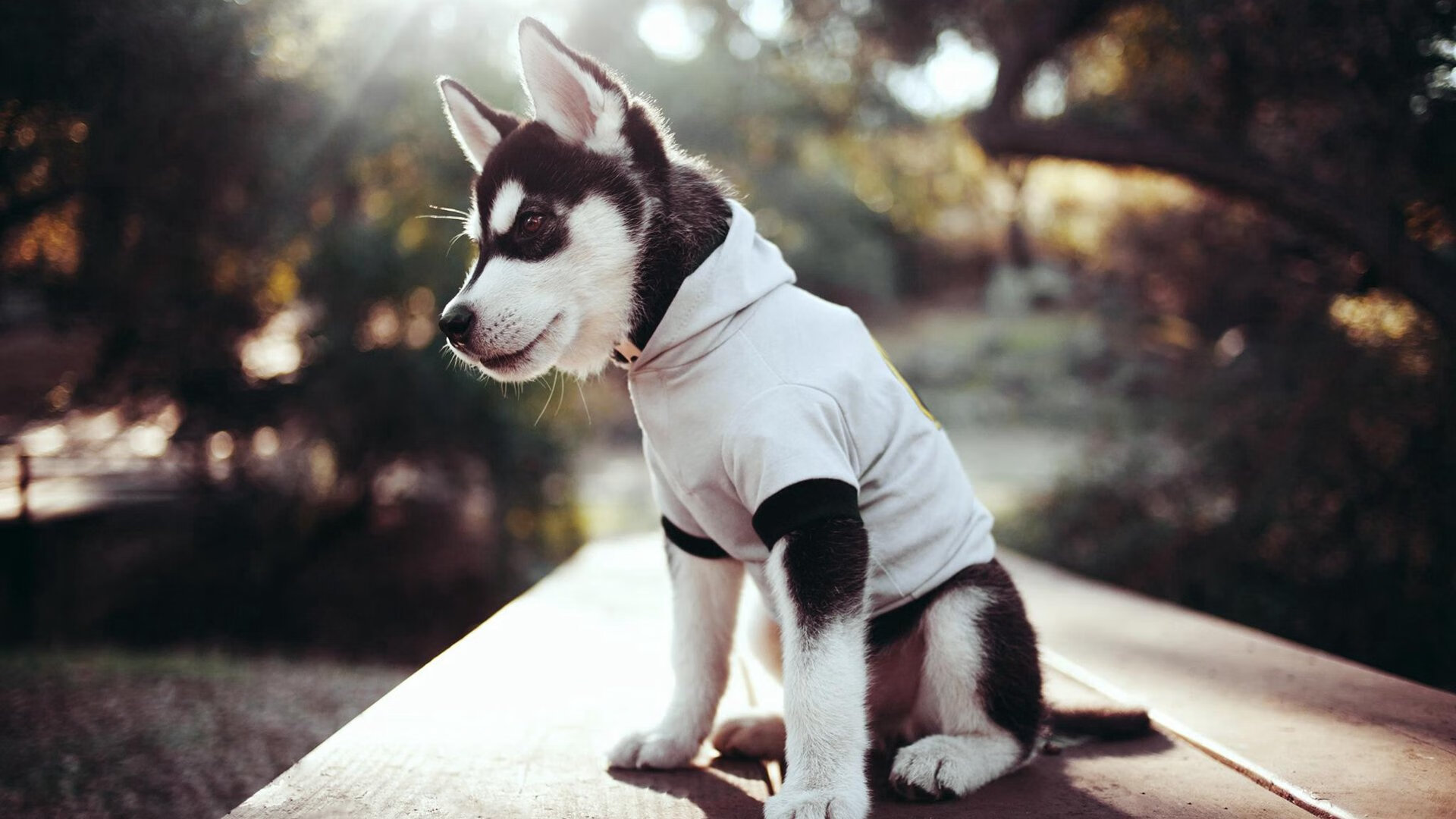 伦纳德高效狂砍35分，太阳团队压制力令马刺窒息