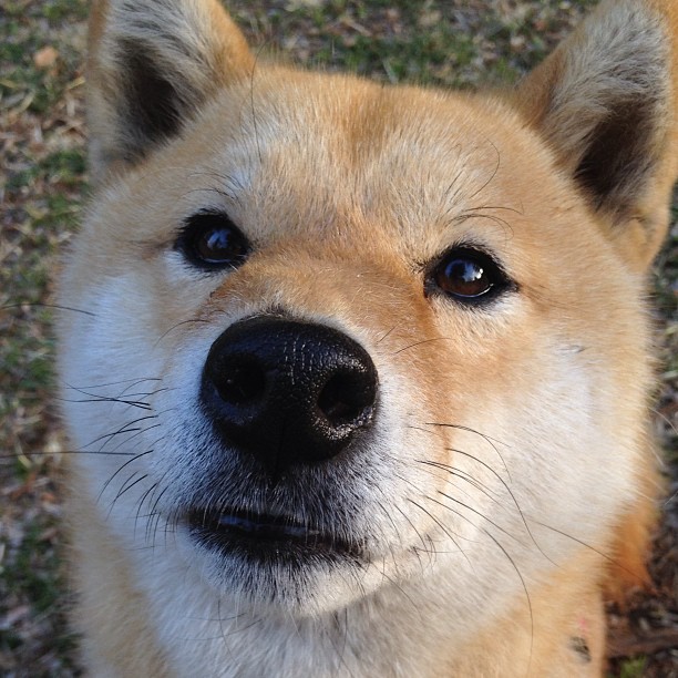 世俱杯赛程-老将不死！保罗末节13分导演逆袭，活塞爆冷背后的救赎之路