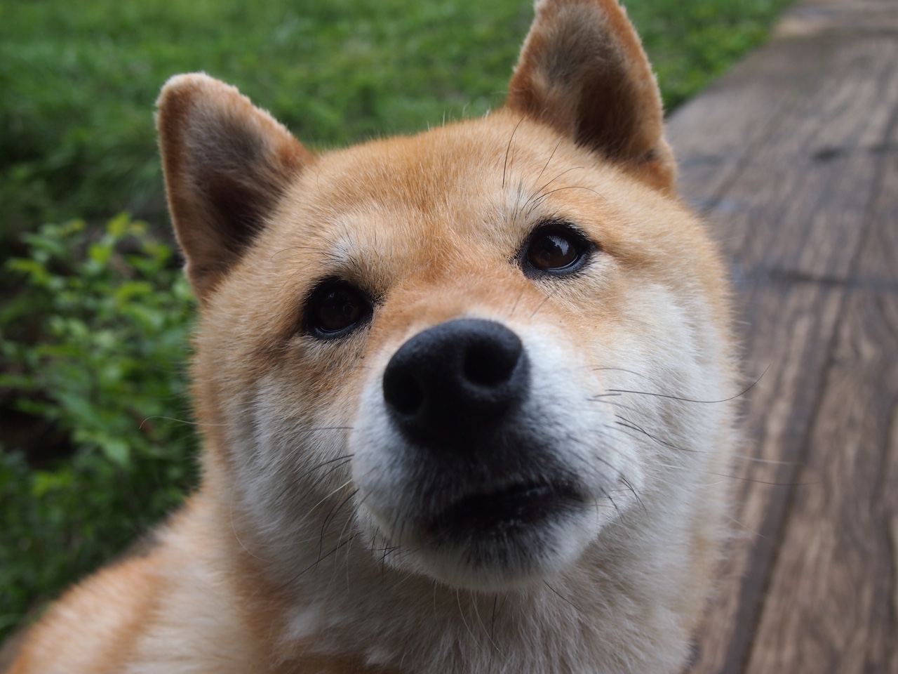 黄潜水艇的非洲远征与亚洲之光的欧冠舞台，足球世界的两重宇宙