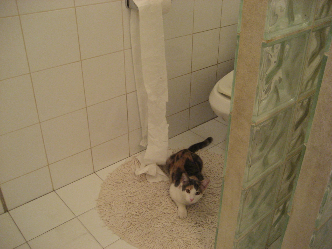 个体与体系的交响,国际足坛新格局的启示