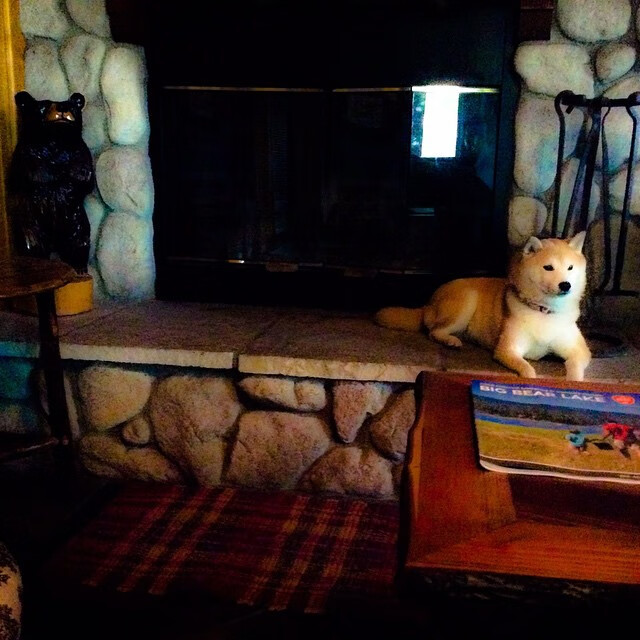 孤星与战车，当马丁内利刺穿防线，希腊用铁血碾碎挪威童话