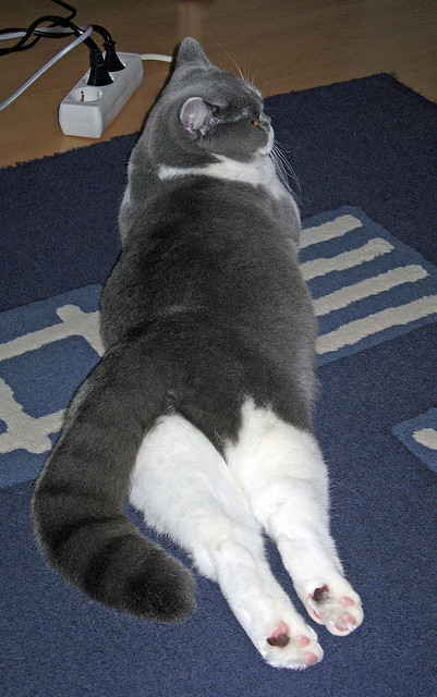 世俱杯改制-锡安隔扣格林定乾坤！山西队惊险逆袭，撕裂休斯顿天空