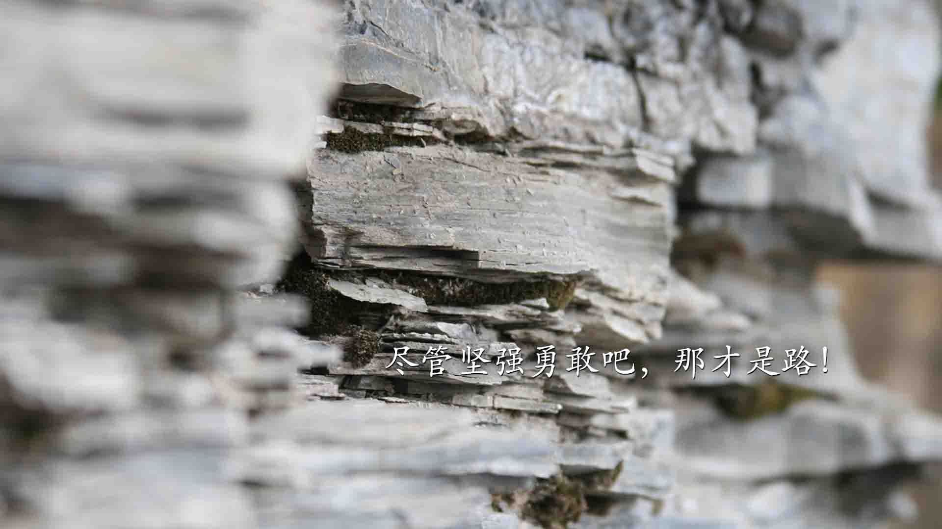 世俱杯时间-库里化身终极锁匠，公牛铁蹄踏碎森林狼