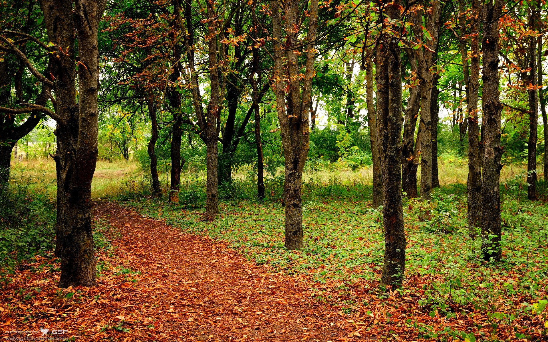 世俱杯-奥亚尔萨瓦尔的艺术课，当佛罗伦萨防线沦为他的画布