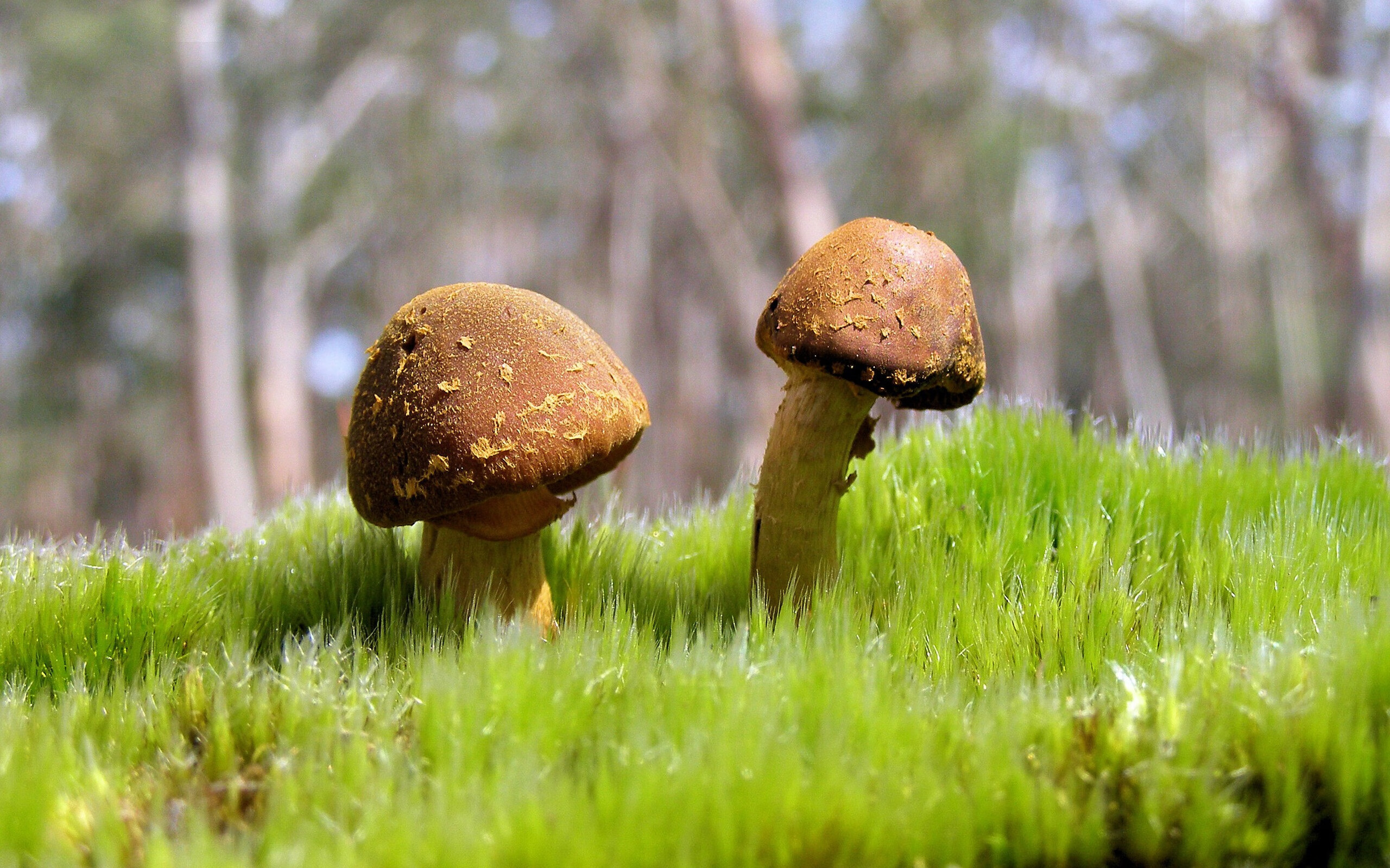 世俱杯直播-英格拉姆45分统治攻防，快船窒息节奏掐灭爵士反扑火焰