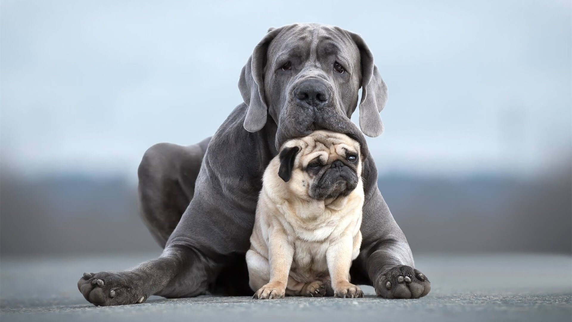 如鹰展翅，哈登扛起全队，率队强势晋级