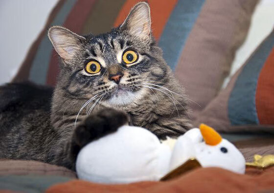 世俱杯改制-决定性的独舞，奥运周期关键战之夜，乔治统治全场