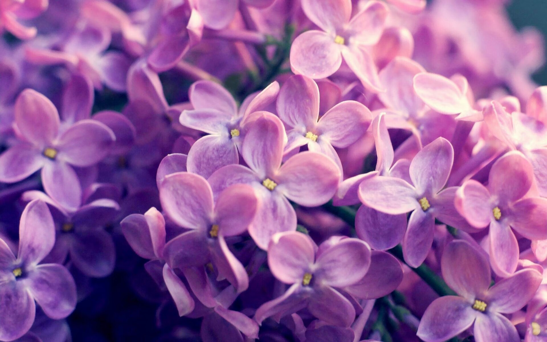 陨落，加纳三击终结药厂不败神话